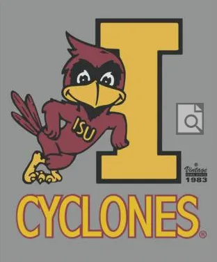 Retro Sport x Blond Genius - Cyclones Cropped Long Sleeve in Antique White